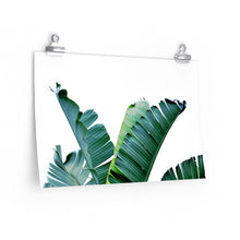 tropical banana leaf art print