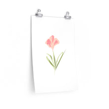 blush watercolour flower art print