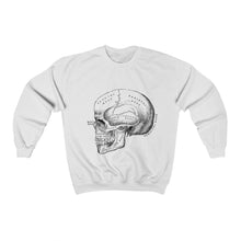 skull anatomy crewneck sweater (more colours)