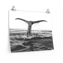 whale tail art print